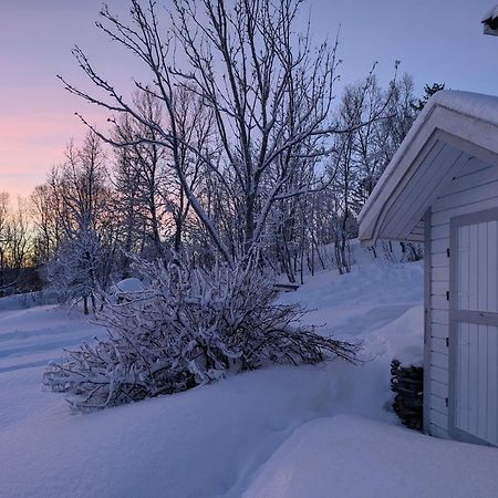 Cabin Magic On Senja, Atmosphere Like A Fairytale Botnhamn 外观 照片