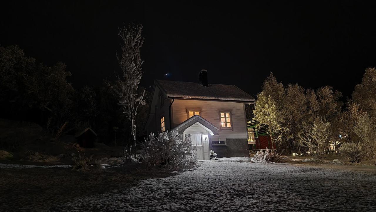 Cabin Magic On Senja, Atmosphere Like A Fairytale Botnhamn 外观 照片
