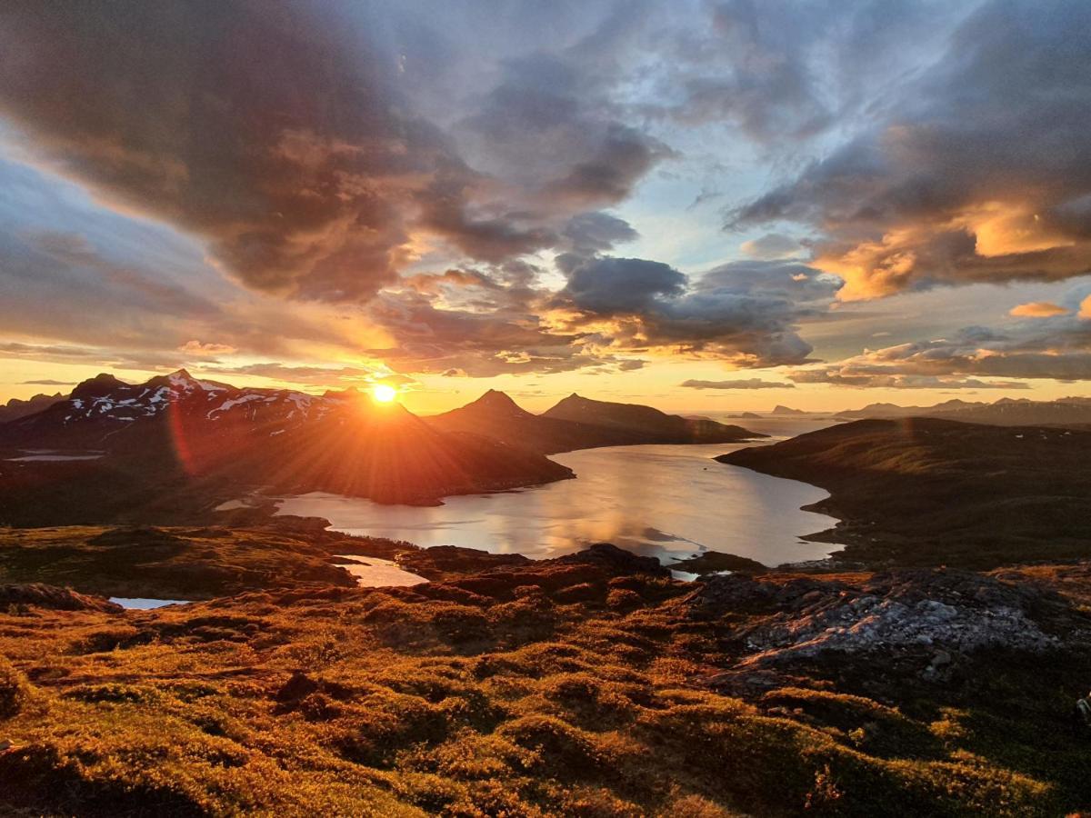 Cabin Magic On Senja, Atmosphere Like A Fairytale Botnhamn 外观 照片
