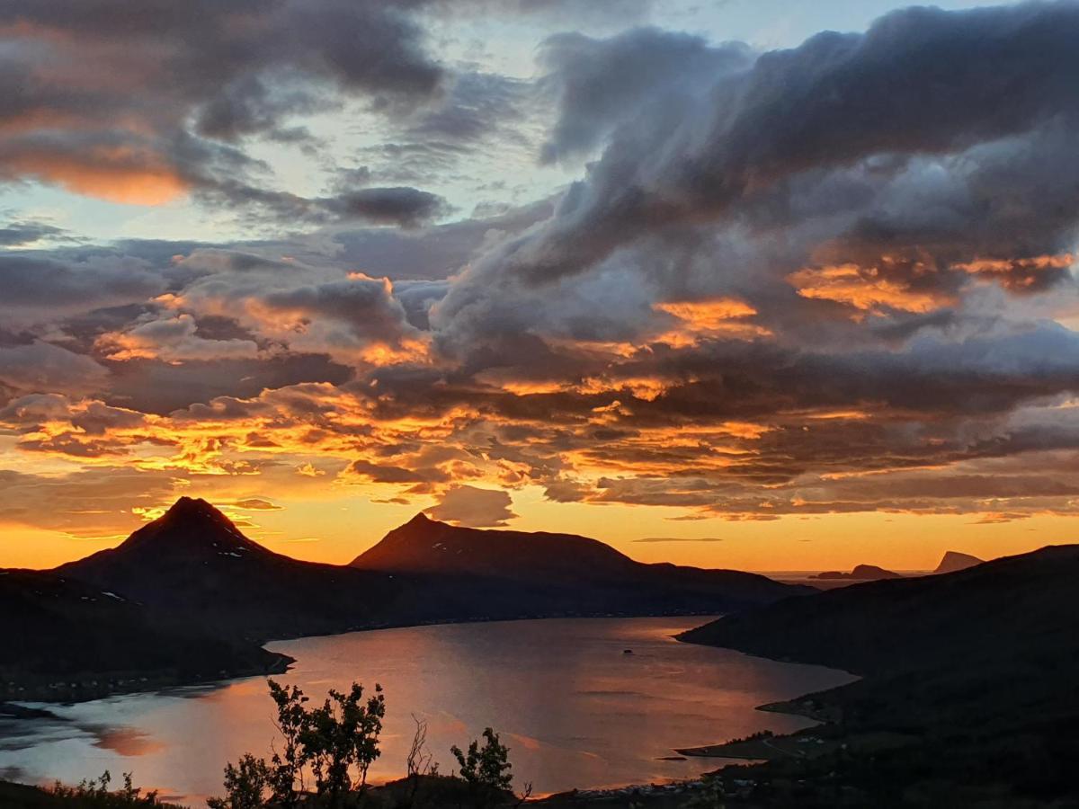 Cabin Magic On Senja, Atmosphere Like A Fairytale Botnhamn 外观 照片