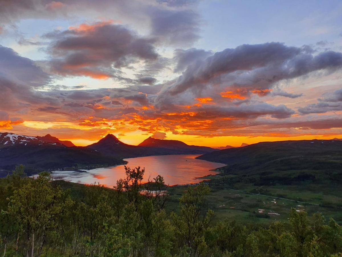 Cabin Magic On Senja, Atmosphere Like A Fairytale Botnhamn 外观 照片