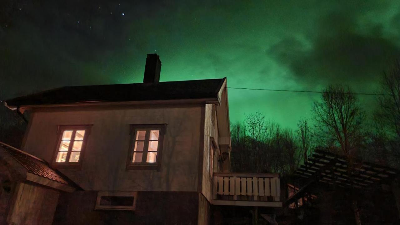 Cabin Magic On Senja, Atmosphere Like A Fairytale Botnhamn 外观 照片