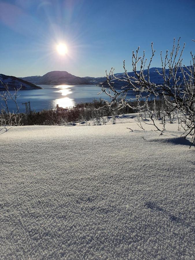 Cabin Magic On Senja, Atmosphere Like A Fairytale Botnhamn 外观 照片