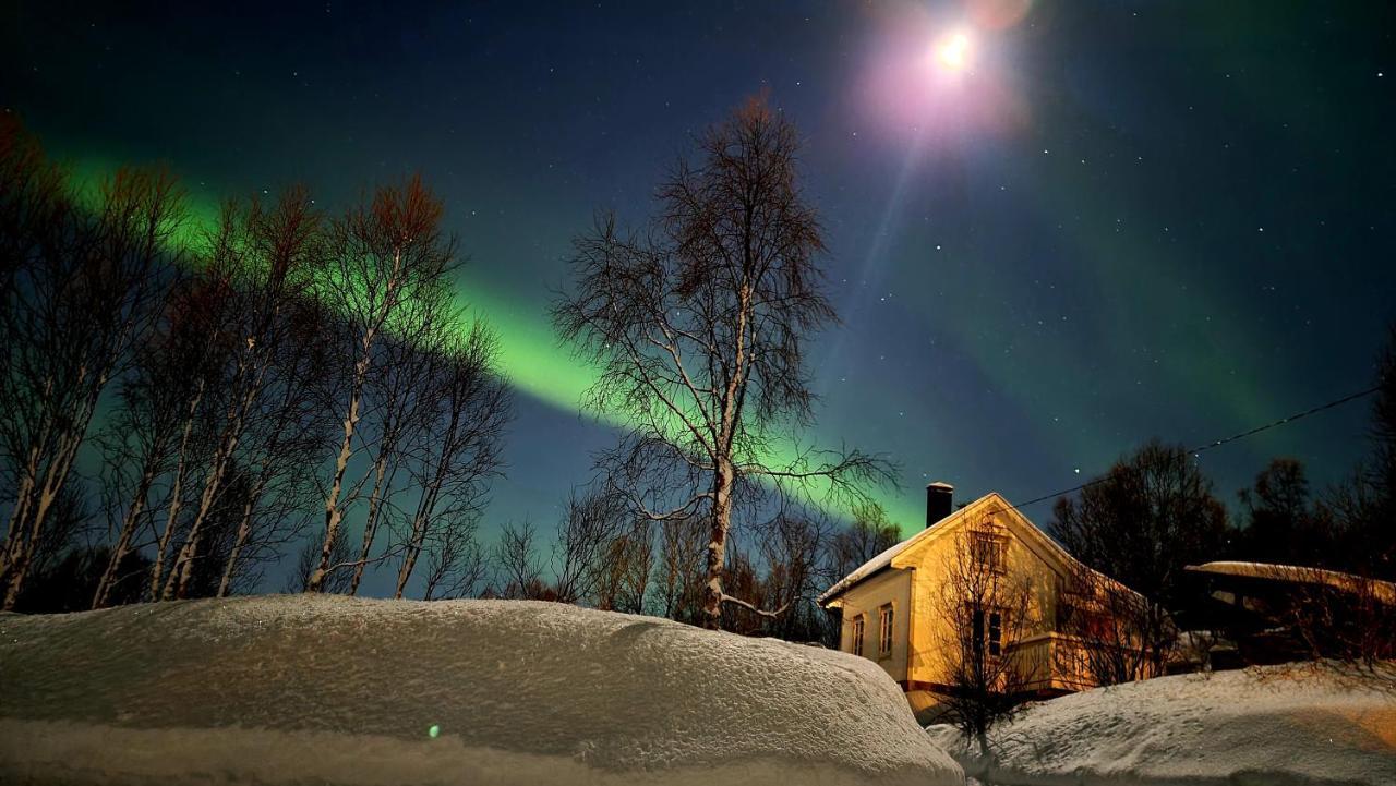 Cabin Magic On Senja, Atmosphere Like A Fairytale Botnhamn 外观 照片