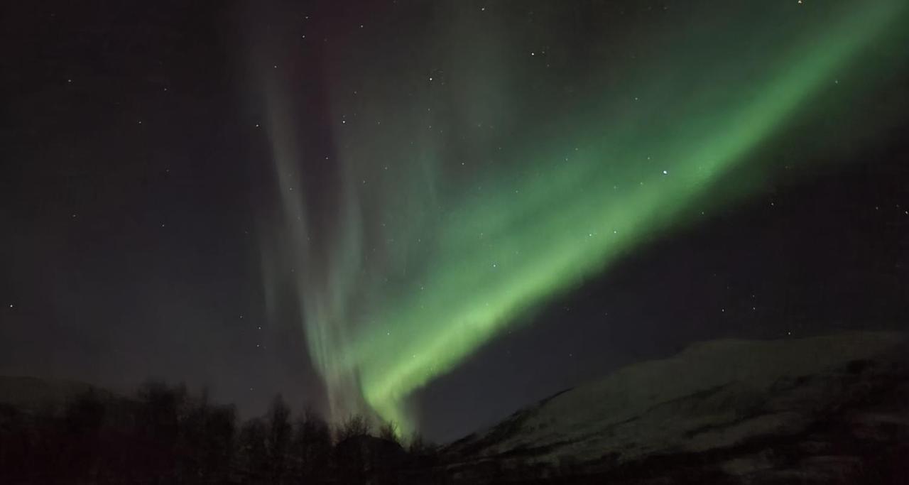 Cabin Magic On Senja, Atmosphere Like A Fairytale Botnhamn 外观 照片