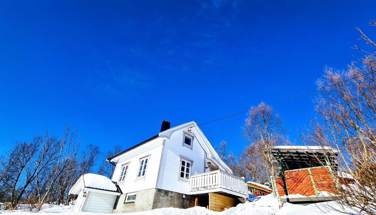 Cabin Magic On Senja, Atmosphere Like A Fairytale Botnhamn 外观 照片