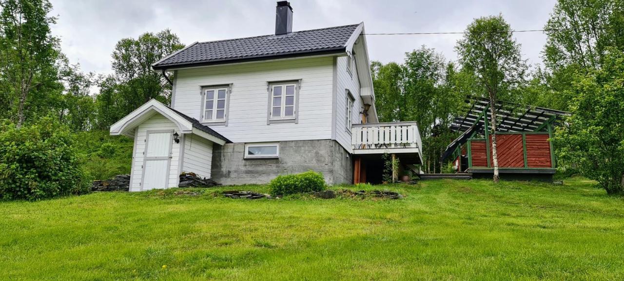 Cabin Magic On Senja, Atmosphere Like A Fairytale Botnhamn 外观 照片