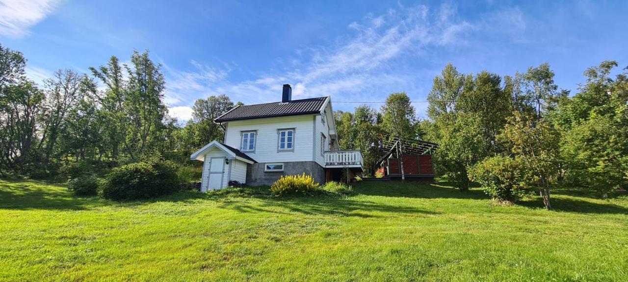 Cabin Magic On Senja, Atmosphere Like A Fairytale Botnhamn 外观 照片