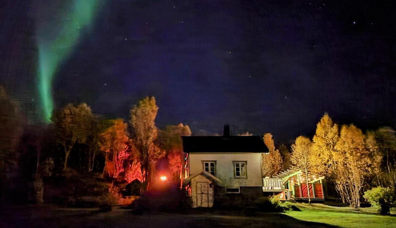 Cabin Magic On Senja, Atmosphere Like A Fairytale Botnhamn 外观 照片