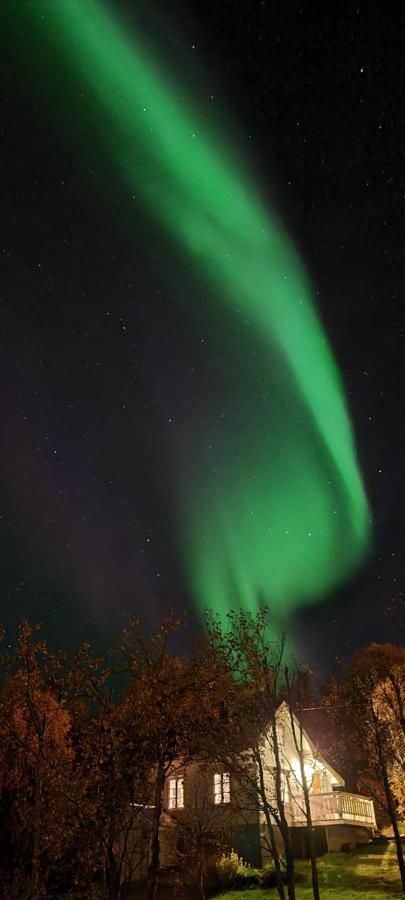 Cabin Magic On Senja, Atmosphere Like A Fairytale Botnhamn 外观 照片