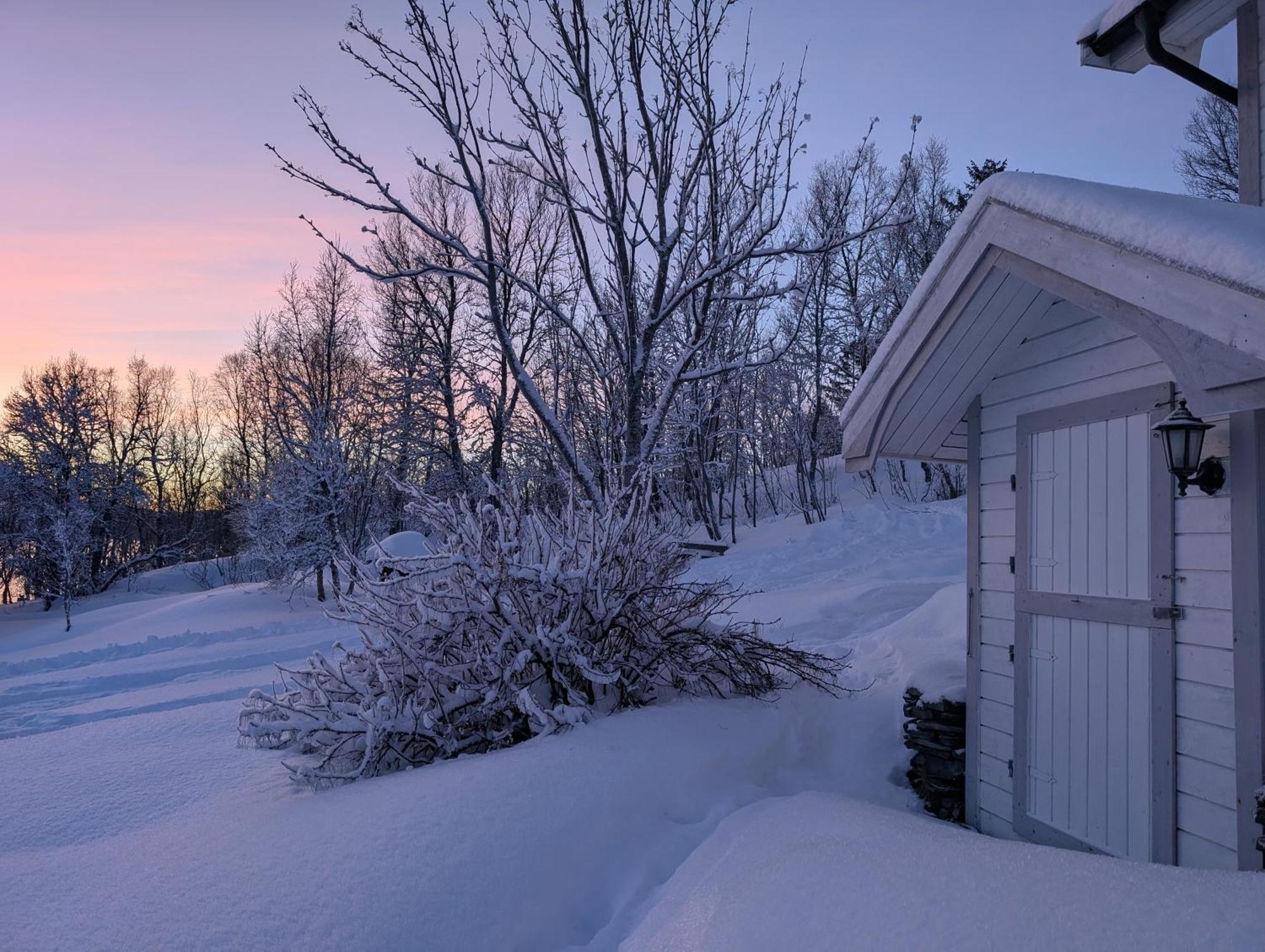 Cabin Magic On Senja, Atmosphere Like A Fairytale Botnhamn 外观 照片